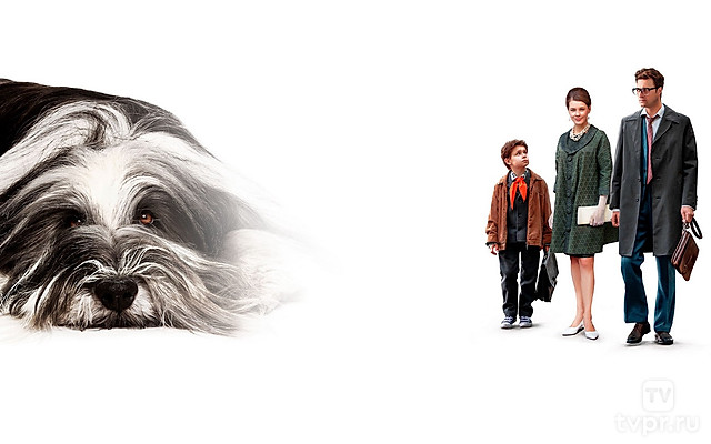 Каждый мечтает о собаке