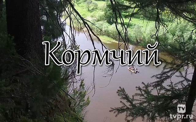 Кормчий