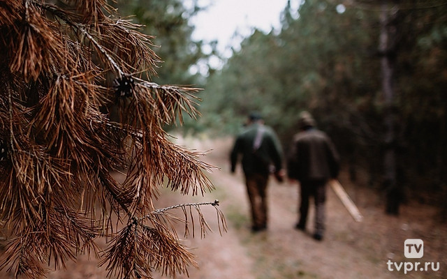 Особенности подмосковной охоты