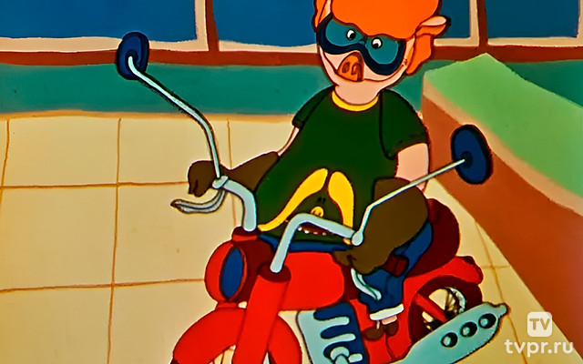 По вине мотоциклиста