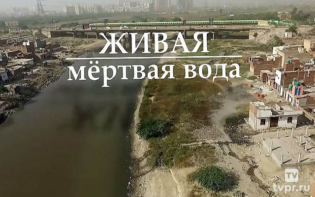 Вода живая и мёртвая
