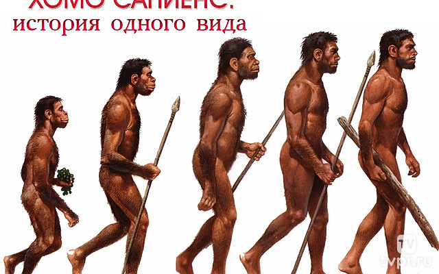 Хомо сапиенс: история одного вид