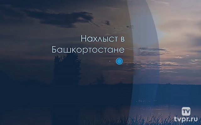 Нахлыст в Башкортостане