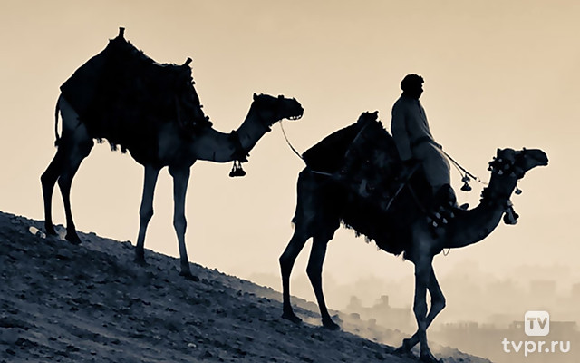 О чем знали древние