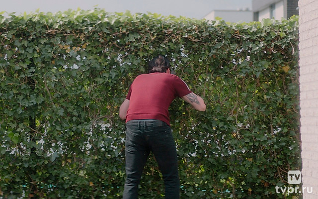 Динамо-мужчина