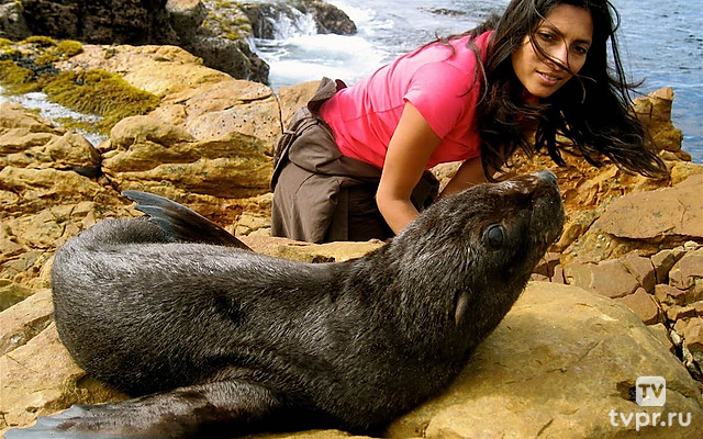 Прогулка по дикой природе