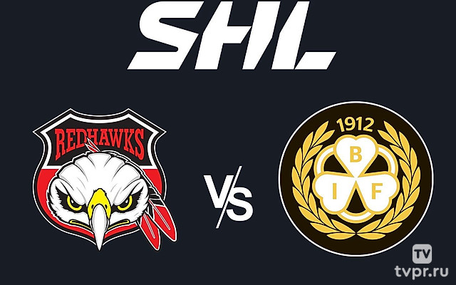 Хоккей Шведская Хоккейная Лига SHL. Плей-офф 2024/25. 1/4 финала. Мальмё Редхокс - Брюнес (Евле). Матч 6