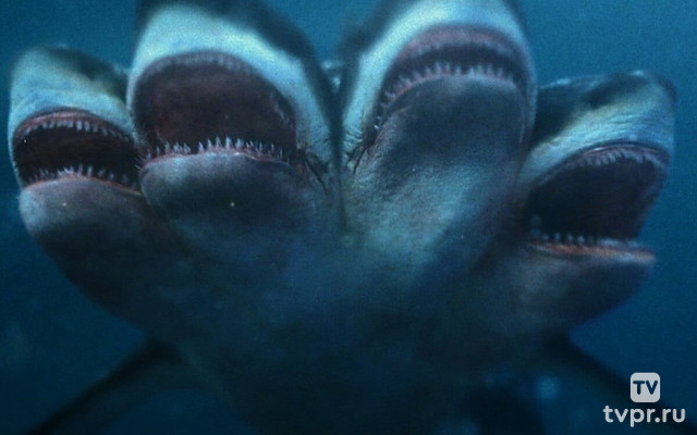 Нападение пятиголовой акулы