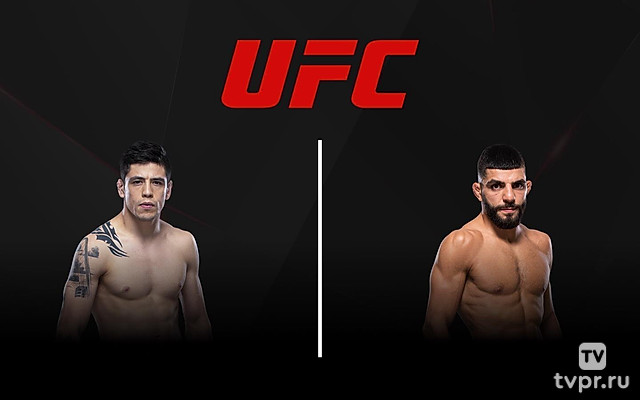 Смешанные единоборства. UFC. Брэндон Морено против Амира Альбази. Трансляция из Канады
