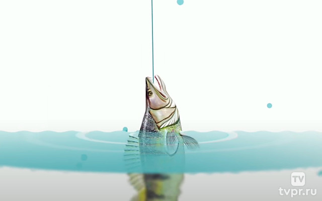 Рыба и гриль