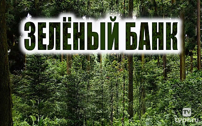Зелёный банк