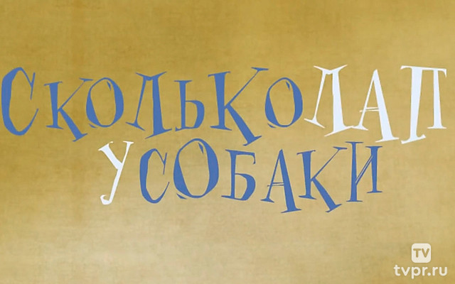 Сколько лап у собаки