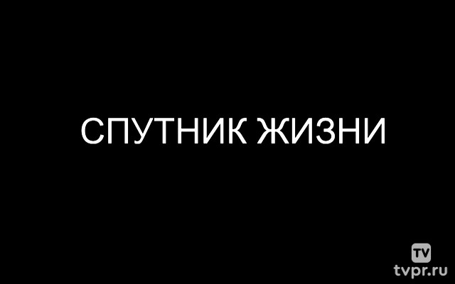 Спутник жизни