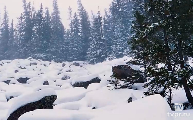 Сукташ Гора