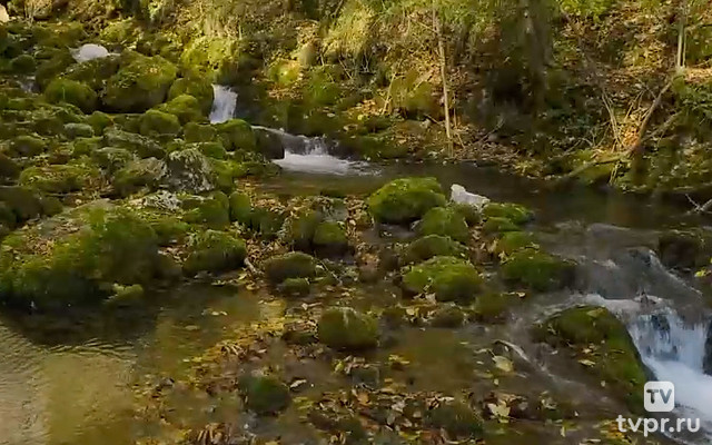 Река Нера Румыния