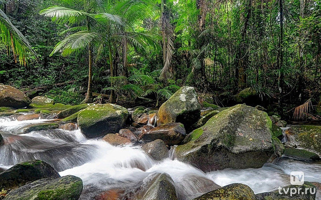 Природные чудеса Дэйнтри