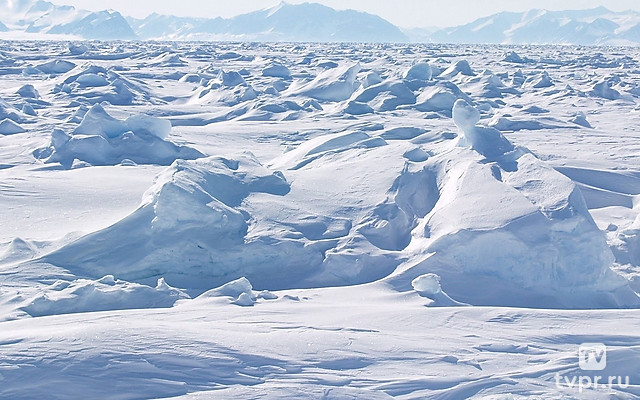 Покорить Северный полюс дважды победив рак