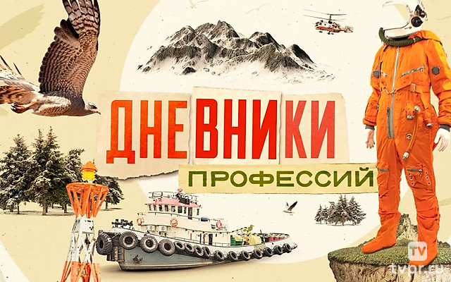 Дневники профессий