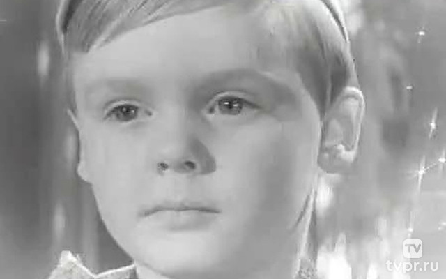 Я купил папу