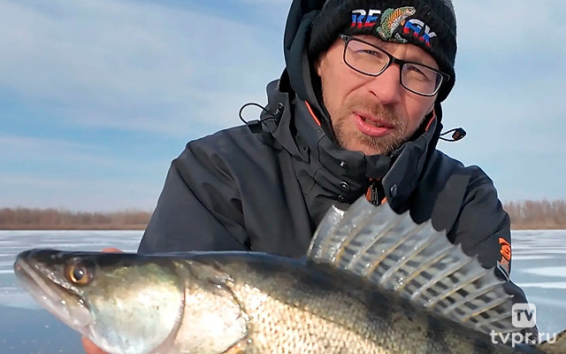 За судаком в город-герой Волгоград