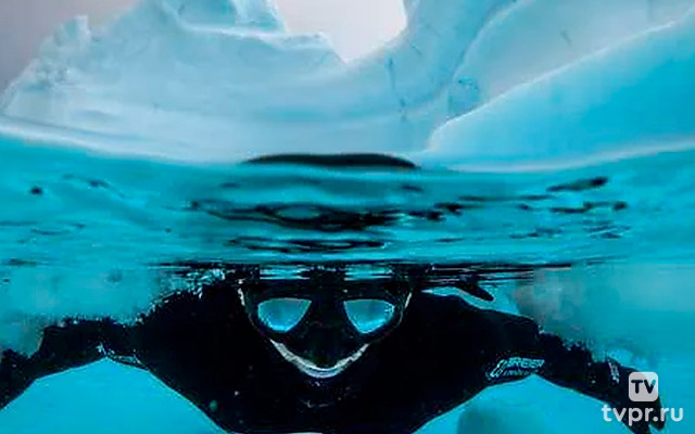 Антарктические фридайверы