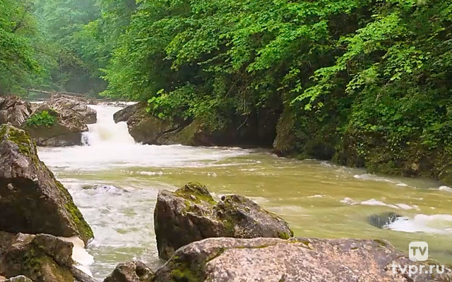 Река Курджипс