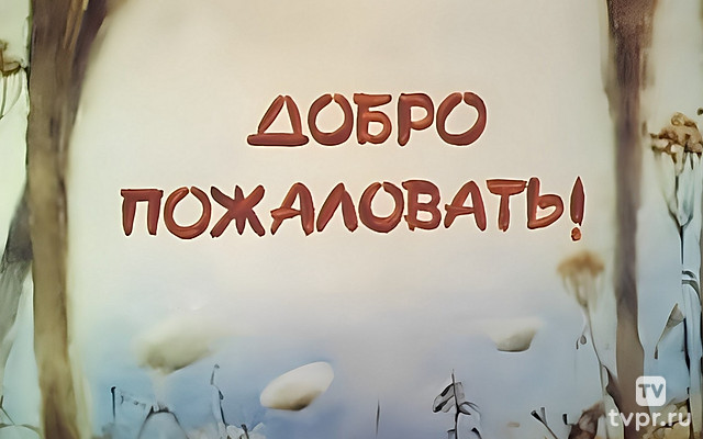 Добро пожаловать!