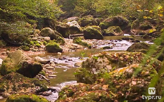 Каньон реки Цица