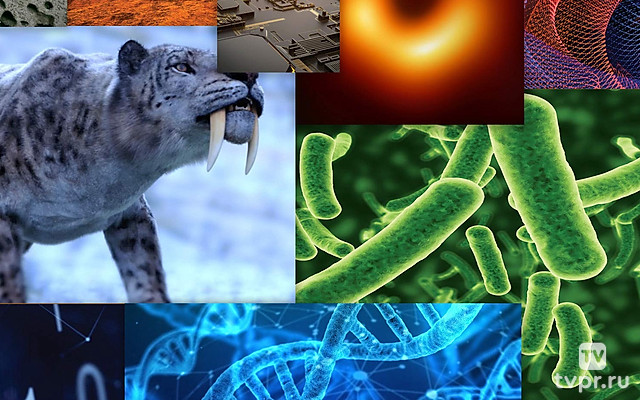 Главное в науке в 2019 году