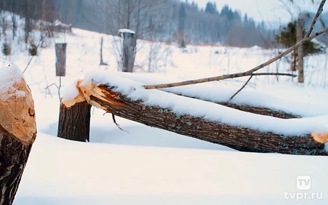 Устье Яманелга