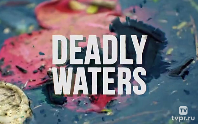 Ядовитые воды Индонезии