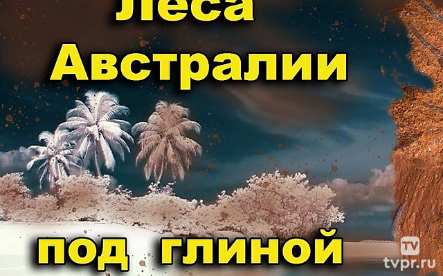 Закопанные под глиной тропические леса Австралии