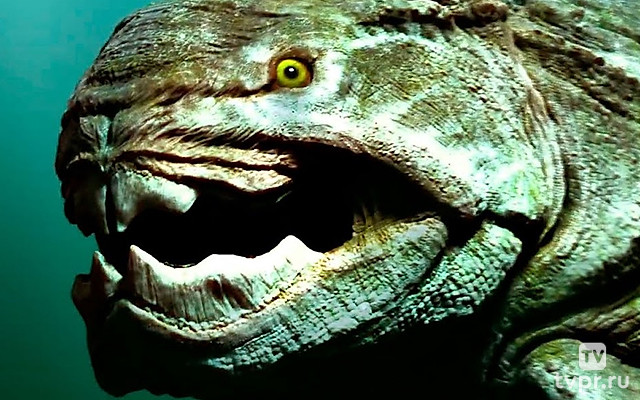 Гиганты животного мира. Мегалодон - ничтожество