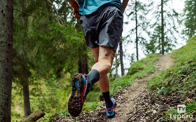 Длинные шорты