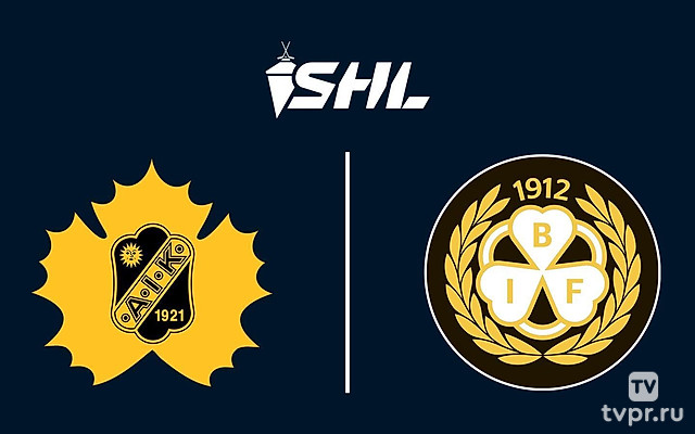Хоккей Шведская Хоккейная Лига SHL. Плей-офф 2024/25. Полуфинал. Шеллефтео - Брюнес (Евле). Матч 6