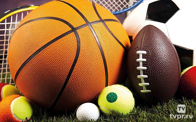 Настольный теннис Мужчины. Бундеслига. Регулярный сезон 2025/26. 14 тур. Швальбе Бергнойштадт - Цугбрюкке Гренцау