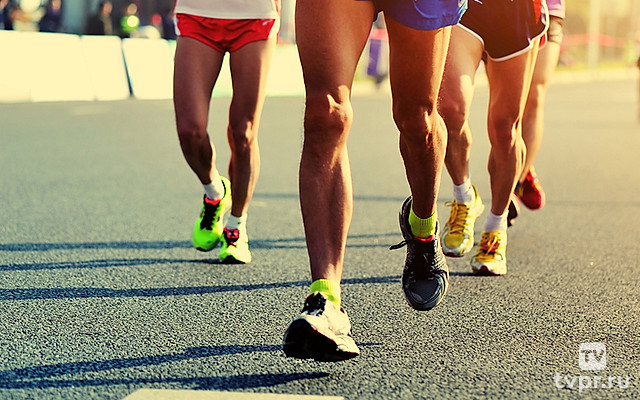 Триатлон. Мировая серия. Женщины. Трансляция из Германии