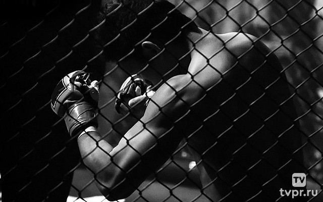 Смешанные единоборства. HEXAGONE MMA 26. Трансляция из Венгрии