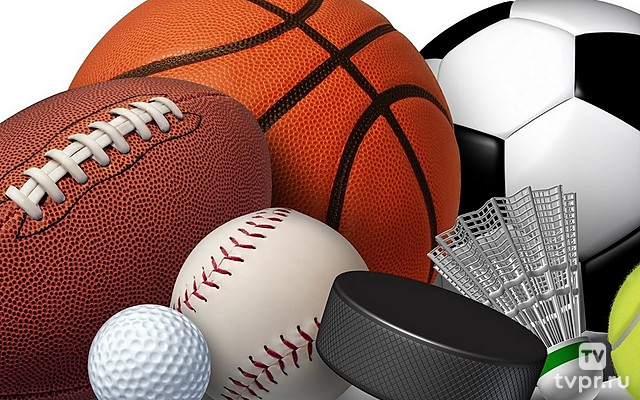 Настольный теннис Мужчины. Бундеслига. Регулярный сезон 2025/26. 20 тур. Саарбрюккен - Фульда-Маберцель / Вердер Бремен - Боруссия Дюссельдорф