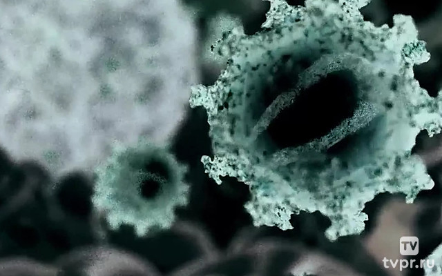 Вирусы: Разрушение и созидание