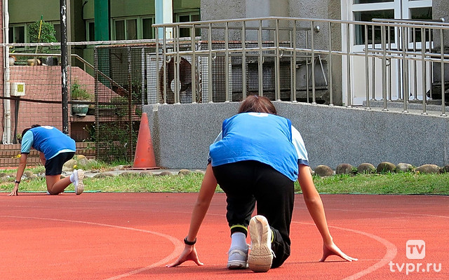 Лёгкая атлетика. Мировой континентальный тур. Трансляция из Нидерландов