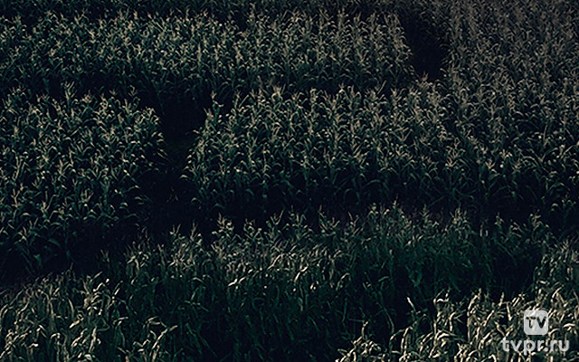 Клаустрофобы. Долина дьявола