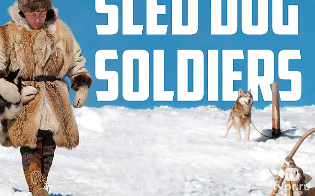 Солдаты на собачьих упряжках