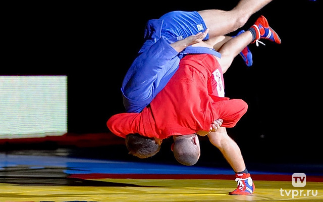 Самбо. Кубок мира. Трансляция из Армении