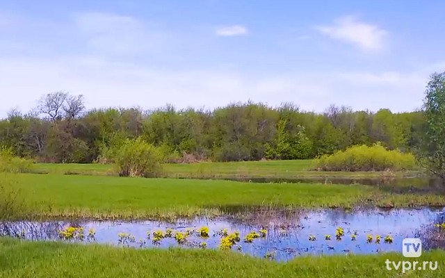 Луга заливные Башкирия
