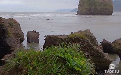 Бухта Тихая