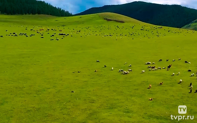 Долина реки Орхон Монголия