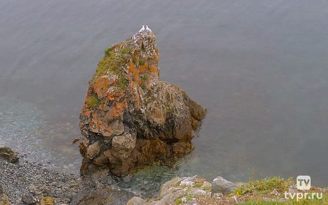 Залив Креста