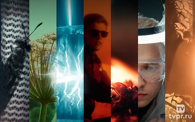 День открытых дверей