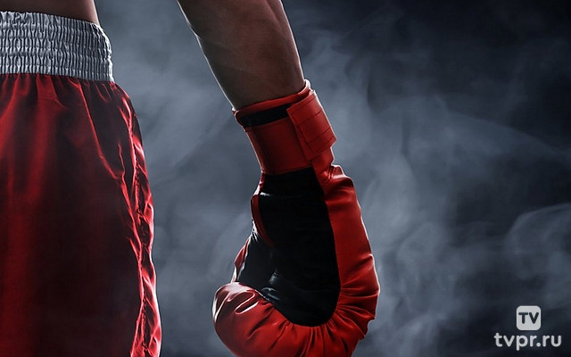 Fightbox King Of Kings Heroes Series / Mma Bushido Brussels, Belgium